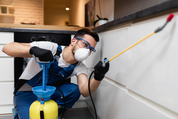 Best Pest Control Cost  in Los Altos, CA