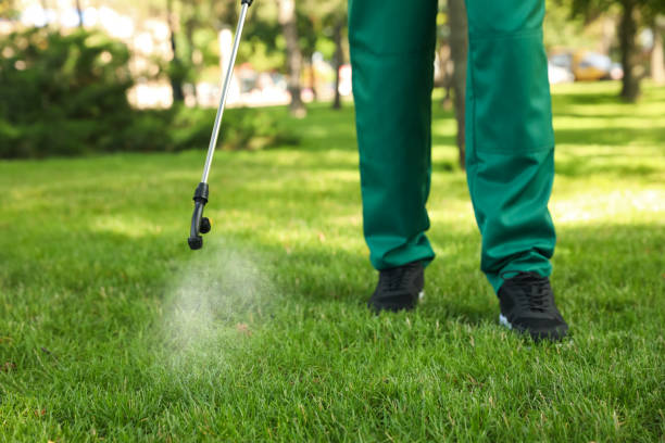 Best Mosquito Control Services  in Los Altos, CA