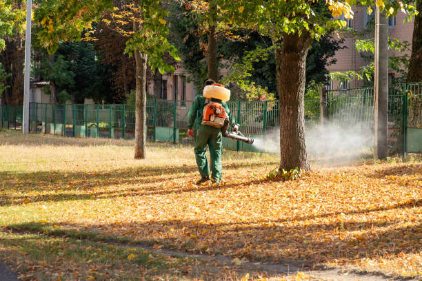 Best Rat Extermination Near Me  in Los Altos, CA