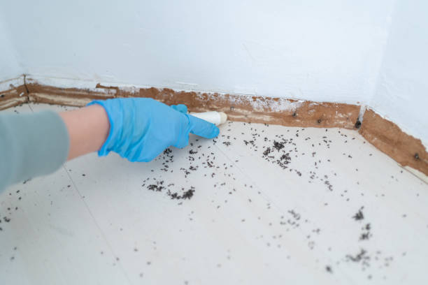 Pest Control Cost in Los Altos, CA